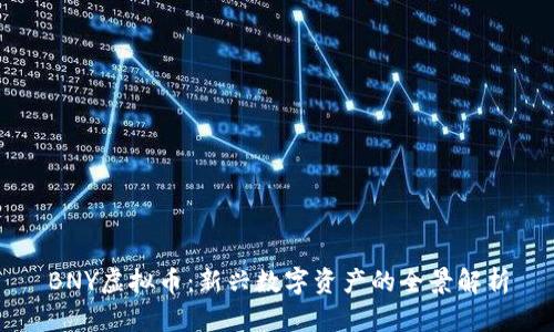 BNY虚拟币：新兴数字资产的全景解析